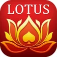 Teen Patti Lotus APK
